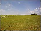 Rolniczy krajobraz w okolicach Rymarova