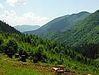 Stoki dzikiej Hrcovej Kecky z niebieskiego szlaku ponad doliną Istebnianki