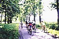 Miejsce przecięcia się szlaków rowerowych w Zaborzu: czerwonego i żółtego - dalej do Skoczowa jedziemy szlakiem żółtym